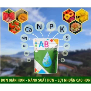 PHÂN BÓN HỮU CƠ NPK AB SOLUTION